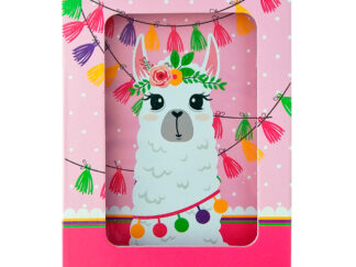 Diario Intimo Llama En Caja Candado Con Llave Colours