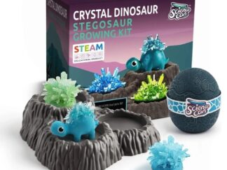 Juego De Ciencias Kit De Dinosaurios Que Crecen Stegosaur Science Can