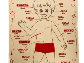 Cuerpo Humano Encastre Goma Eva Anatomia Rompecabezas Puzzle
