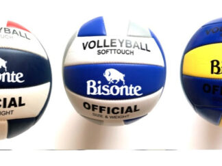 Pelota De Voley Bisonte Soft Touch Reglamentaria Voleibol