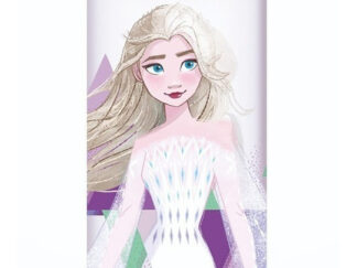 Botella De Agua Infantil Tritan Frozen Vaso Bebidas 590 Ml