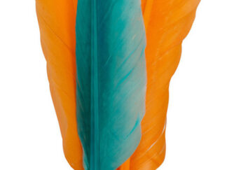 Pluma Voladora Flyer Waboba Set Juego Lanzadior Voli Varios
