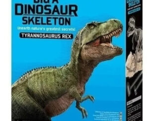 4m Kit Manualidades Encuentra Esqueleto Dinosaurios Juego