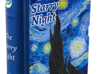 Rompecabezas Bookbox 300 Pz Noche Estrellada 30x40cm Puzzle